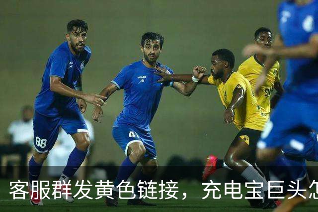 客服群发黄色链接，充电宝巨头怎么了？