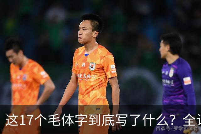 这17个毛体字到底写了什么？全认出来才算真懂草书。草书为何要讲究速度，书法不是越慢越好吗？